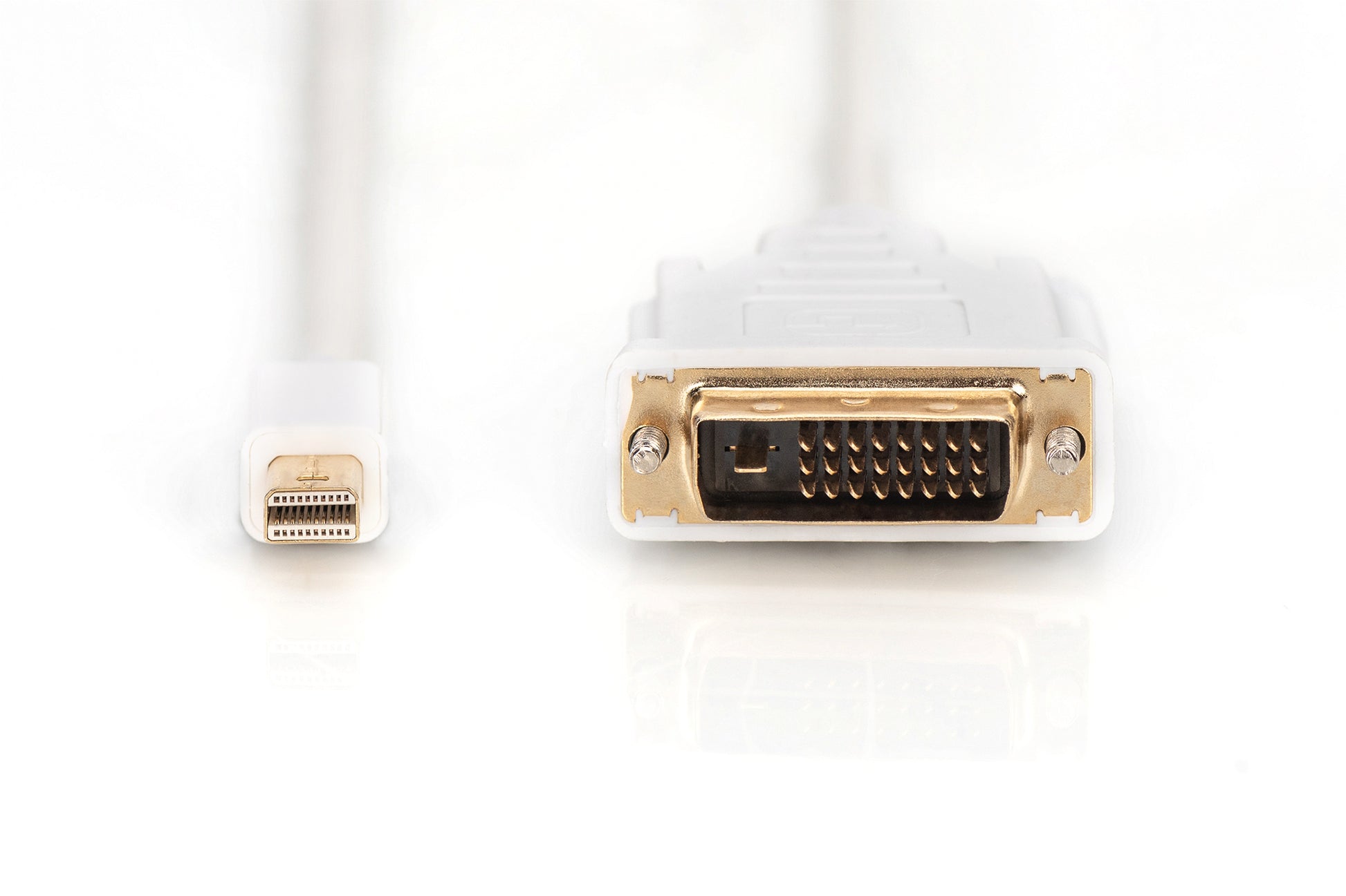 Digitus Mini DisplayPort auf DVI (24+1) Adapter – 2 m