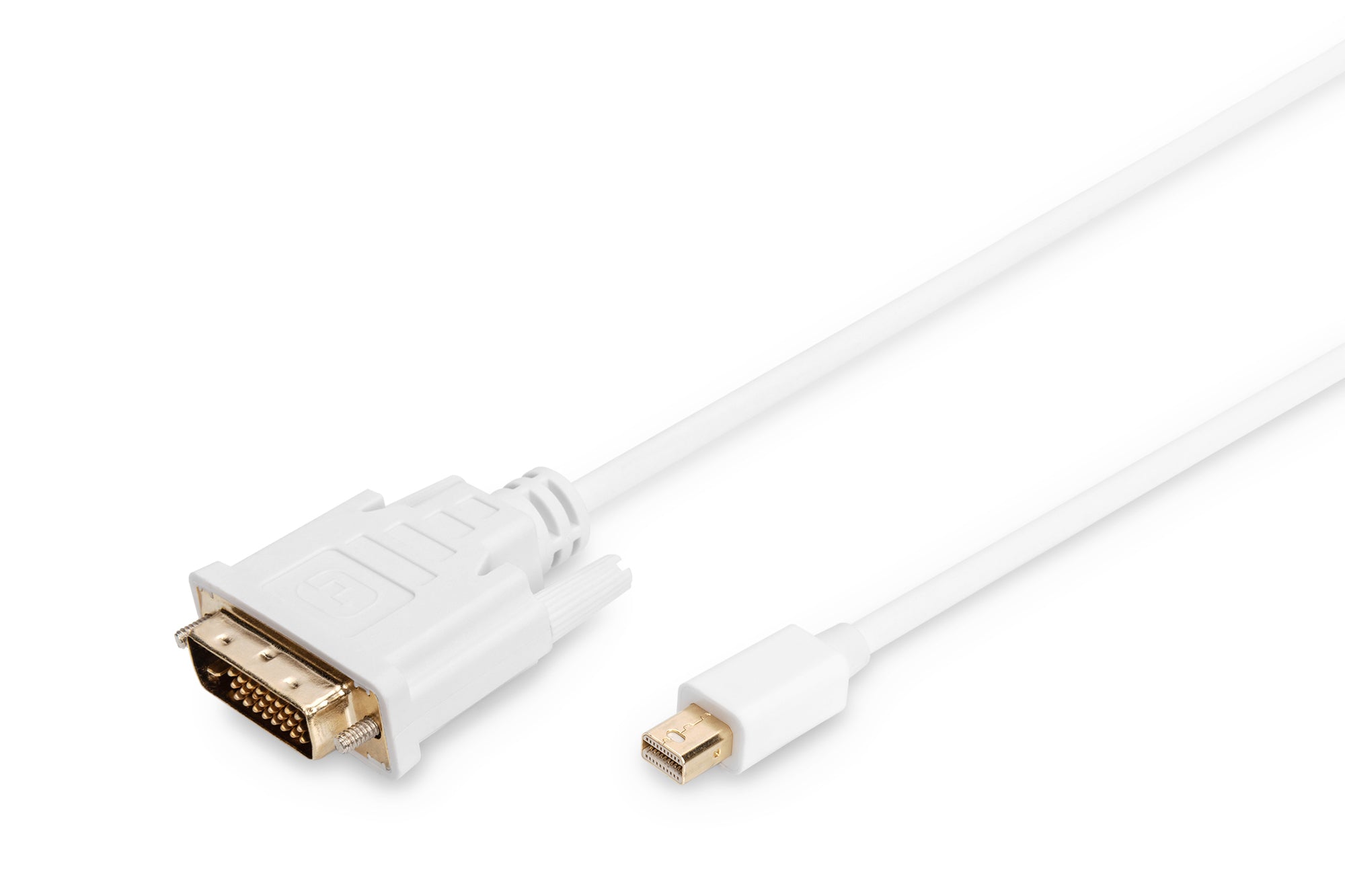 Digitus Mini DisplayPort auf DVI (24+1) Adapter – 2 m