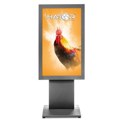 Hagor Bodenständer – 55" – VESA 100×100–800×400 – Höhenverstellbar – Anthrazit