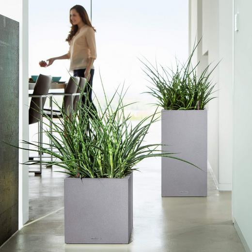 LECHUZA CANTO Stone 30 hoher Pflanzkübel – 30 × 30 × 56 cm – Kunststoff, grau