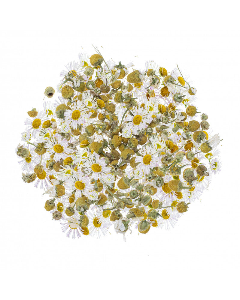 GLOREX Kamillenblüten, Gelb