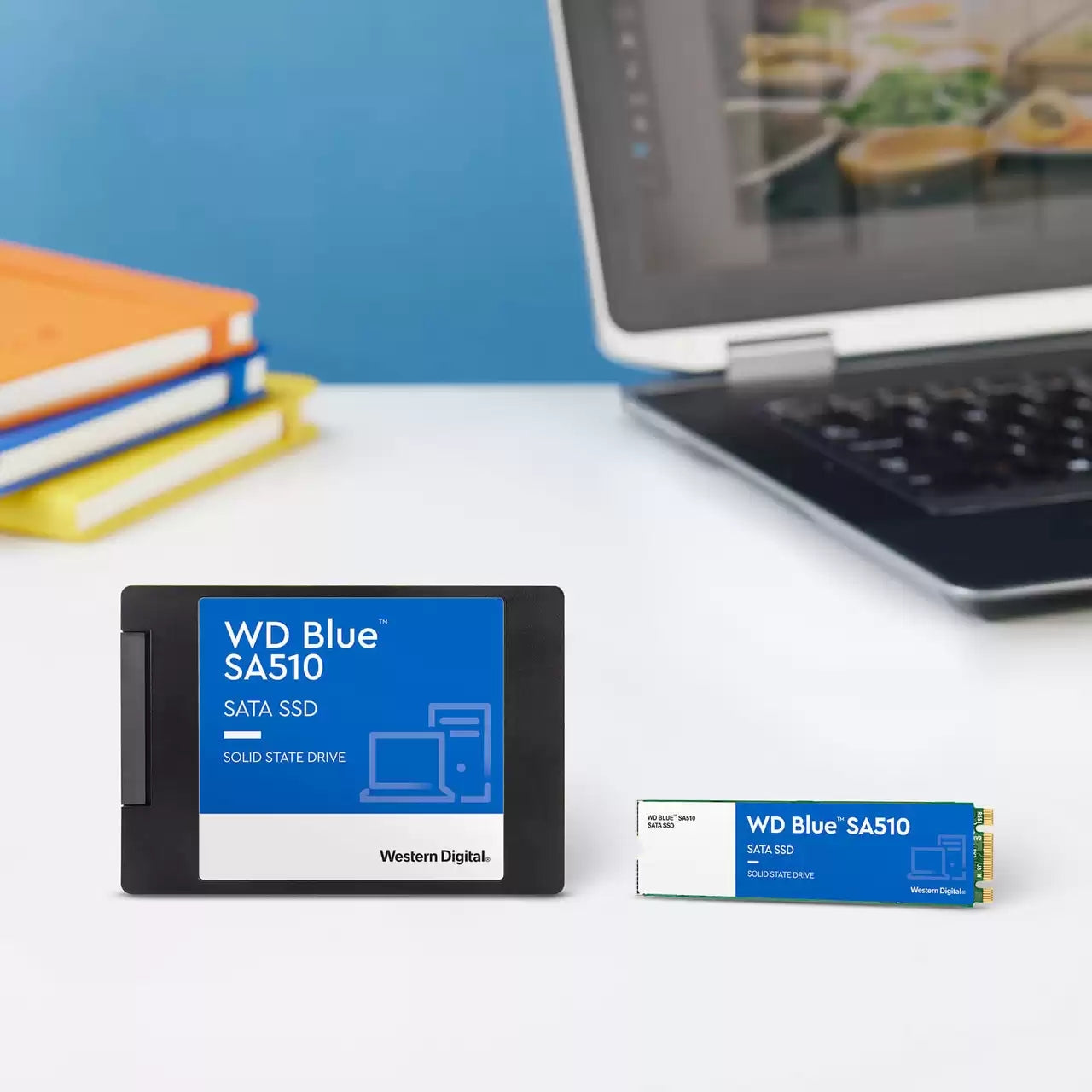 Western Digital Blue SA510 500 GB – M.2 2280, SATA 6 Gbit/s, 560/510 MB/s, für PC/Laptop