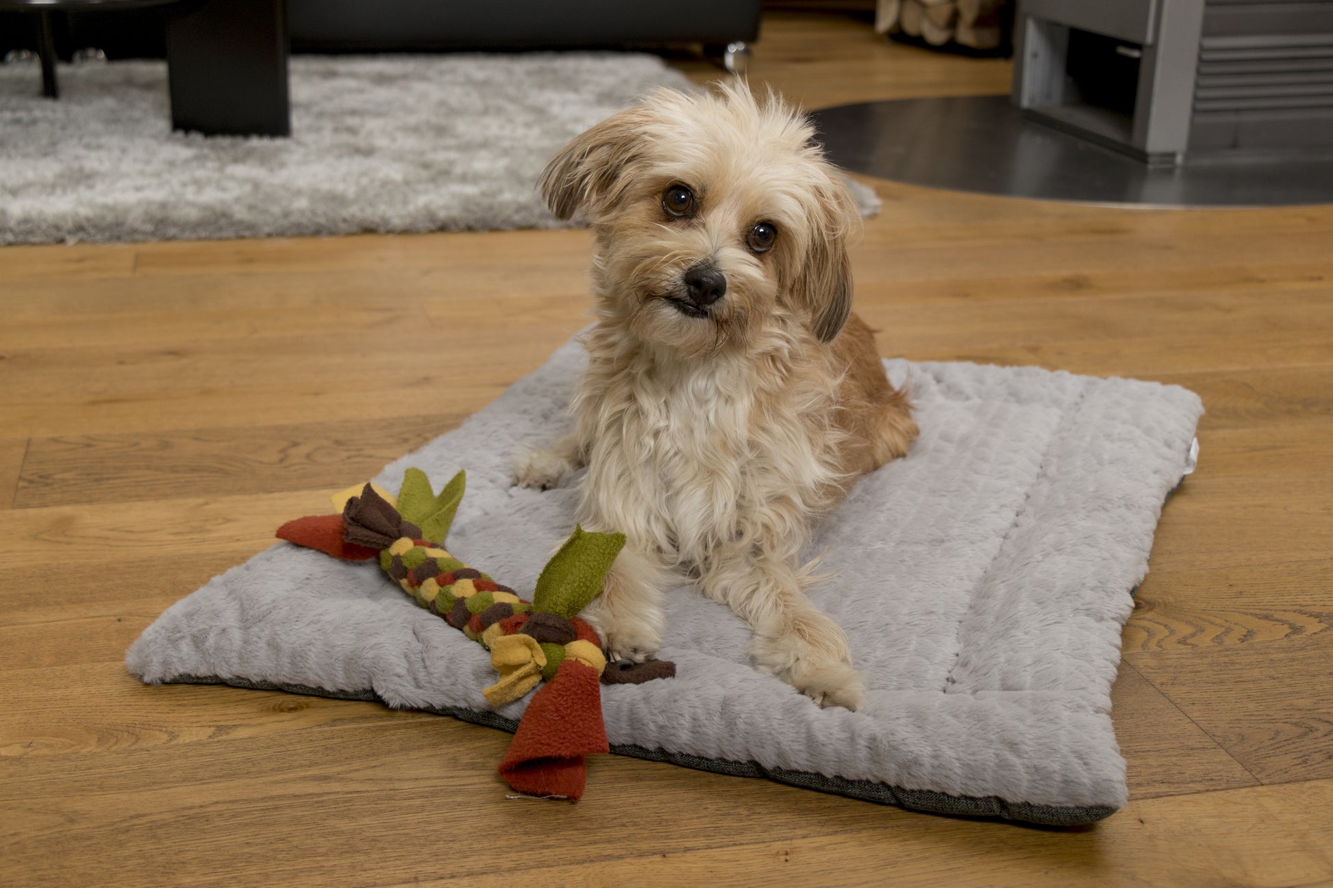 TrendPet Wohndecke – Hellgrau – 55 × 75 cm