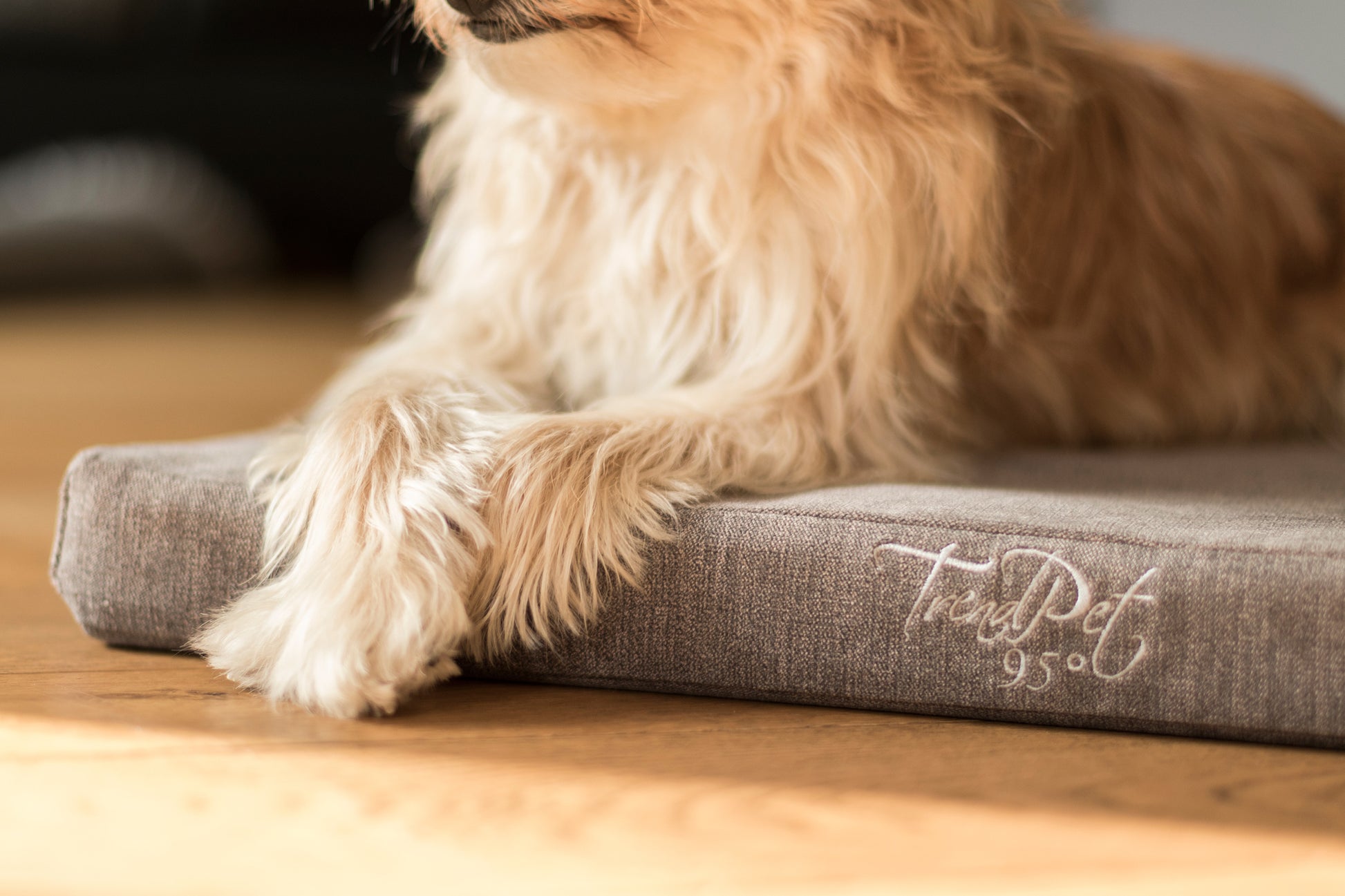 TrendPet VitaMedog Bett – 80 × 110 cm, abnehmbarer Bezug, bis 95 °C waschbar, grau