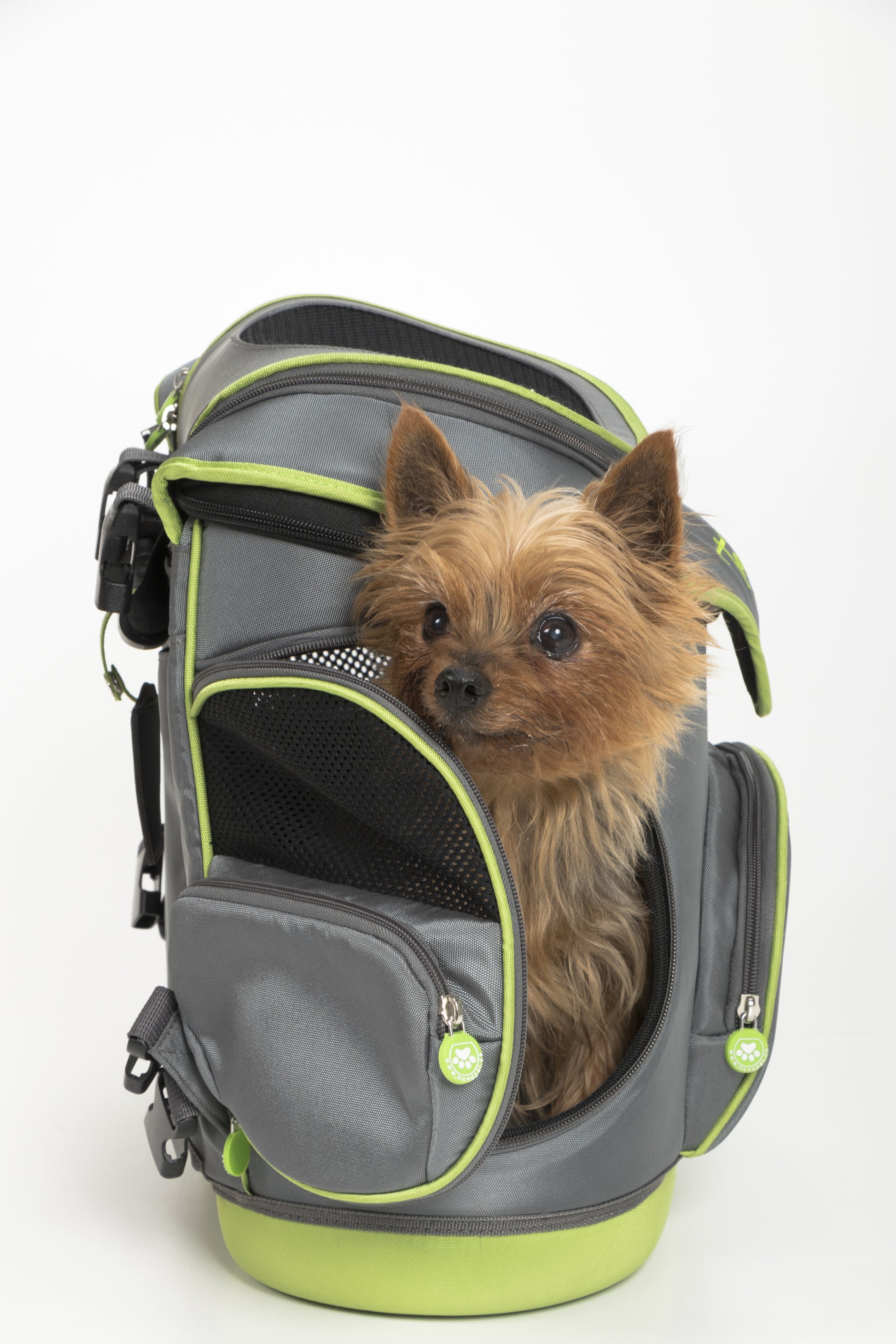 TrendPet Rucksack-Haustierträger – Toplader, mit Seitenfenstern, Grau, 500 × 470 × 310 mm