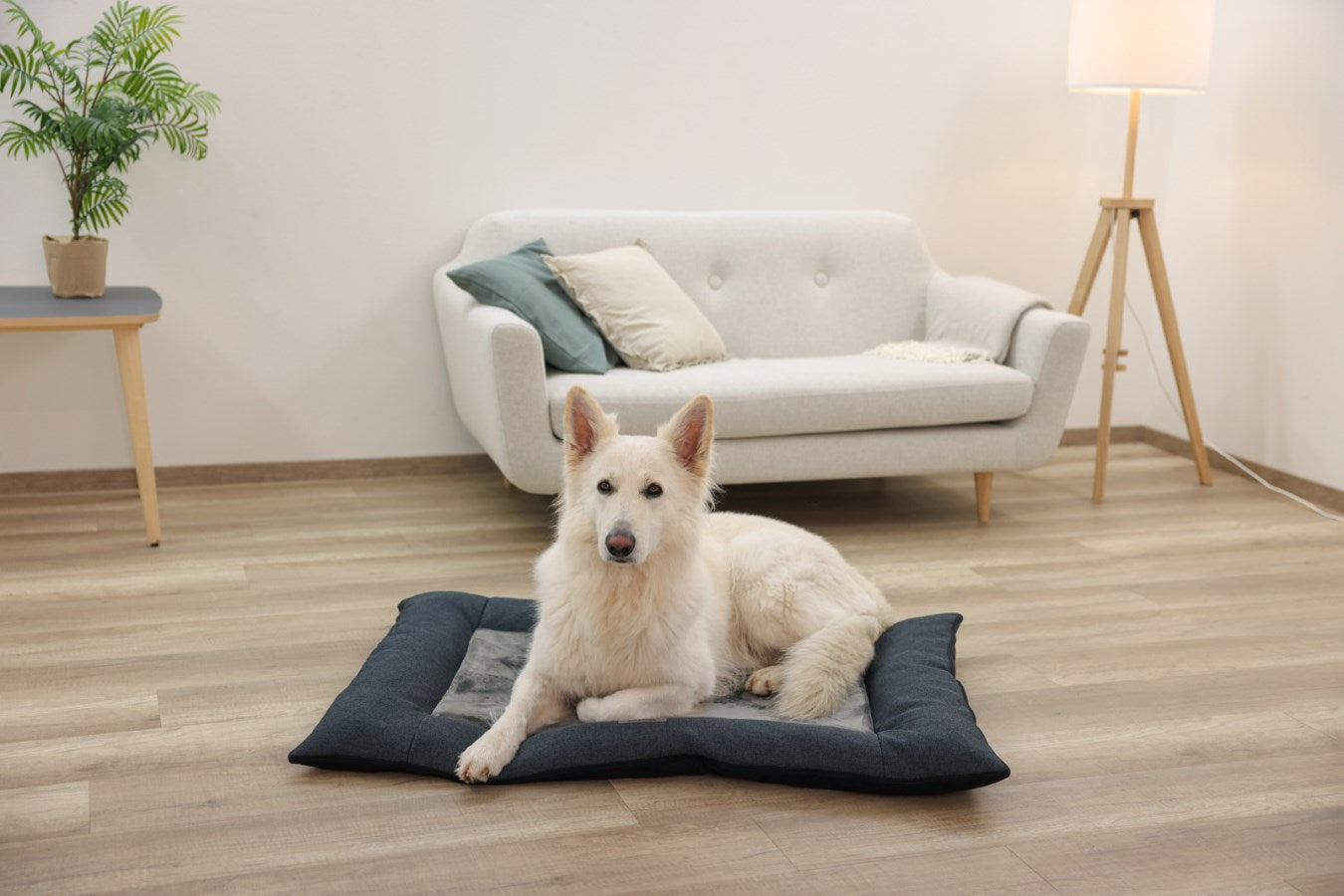 Kerbl Platin Ortho Hundekissen – 55 × 80 × 9 cm, Schaumstoff, Polyester-Bezug, abnehmbar, Anti-Rutsch-Basis