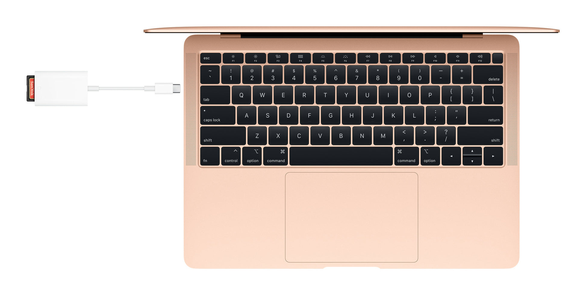 Apple USB-Kartenleser USB-C – SD – USB 2.0 (480 Mbit/s) – Weiss – für iPhone 15, iPad Pro und mehr