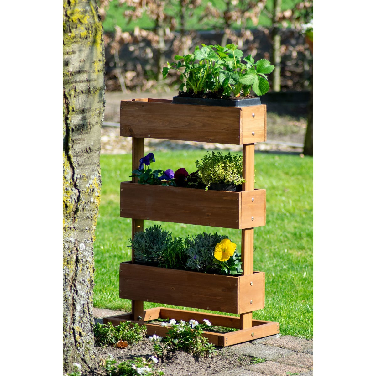 Dobar Pflanzbeet – 49,5 × 78 × 30 cm – Kiefernholz & Kunststoff, Braun, 3 Sektionen