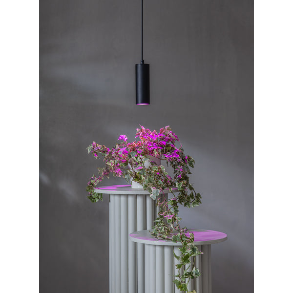 Star Trading Leuchtmittel G9 Kapsel – 138 lm, 1,5 W, Warmweiss 2700 K – IP20 – 2 Stk. – 357-38