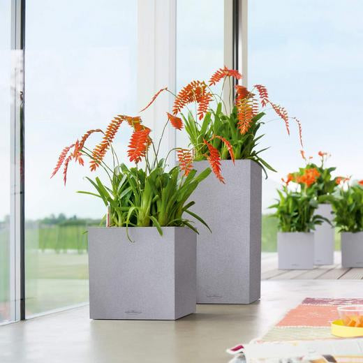 LECHUZA CANTO Stone 30 hoher Pflanzkübel – 30 × 30 × 56 cm – Kunststoff, grau