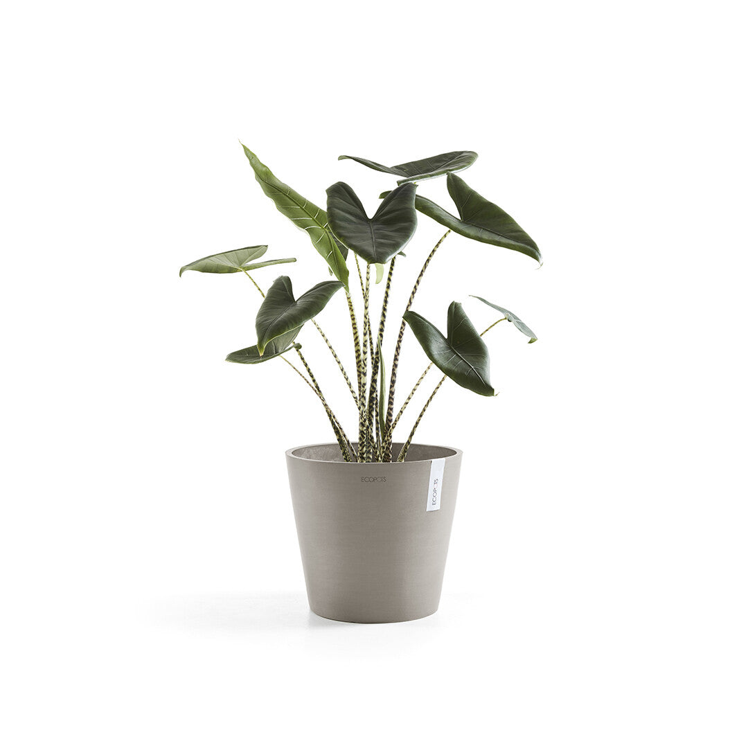 Ecopots Pflanzentopf – Ø 30 × 26,3 cm – Kunststoff, Taupe