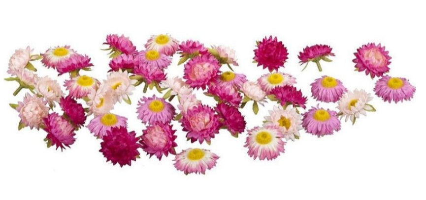 Dekomat AG Künstliche Wildblumenpflanze, rosa, Ø 5 cm, Set à 36
