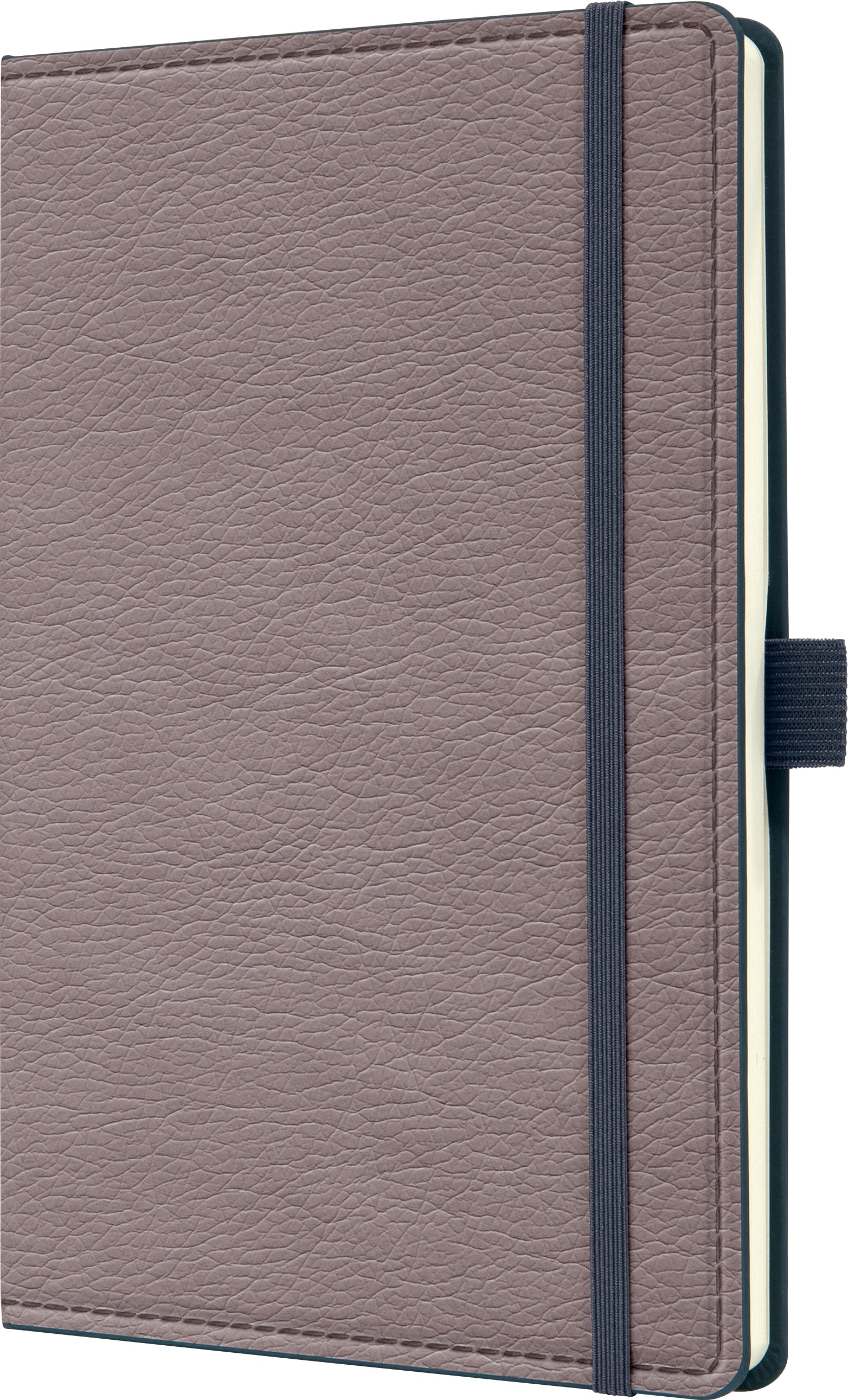 Conceptum Notizbuch – 135 × 205 mm – punktiert – 194 Seiten – Hardcover, Gummiband, Stiftschlaufe, taupe