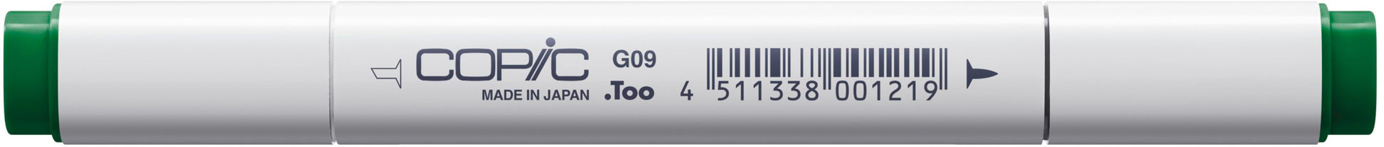 Copic Classic Marker, Doppelspitze – Keil- und Feine Spitze, alkoholbasiert, Veronese Green