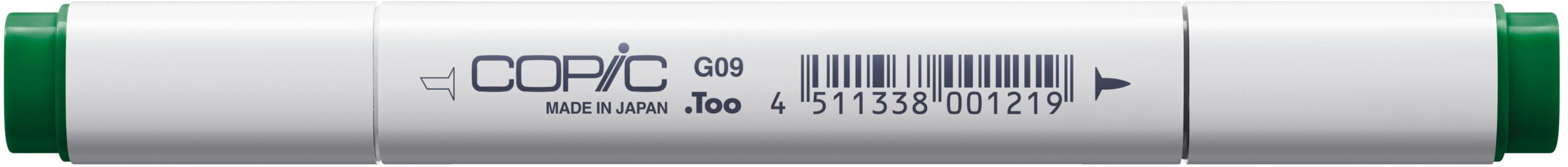 Copic Classic Marker, Doppelspitze – Keil- und Feine Spitze, alkoholbasiert, Veronese Green