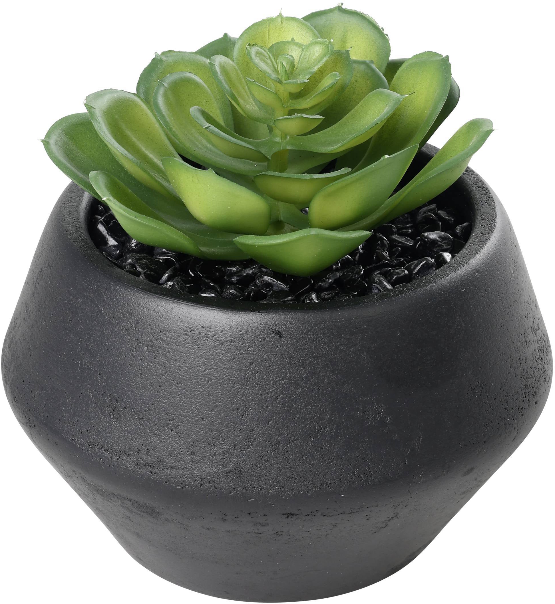 Eglo Kunstpflanze – 11 cm, im Topf – Grün