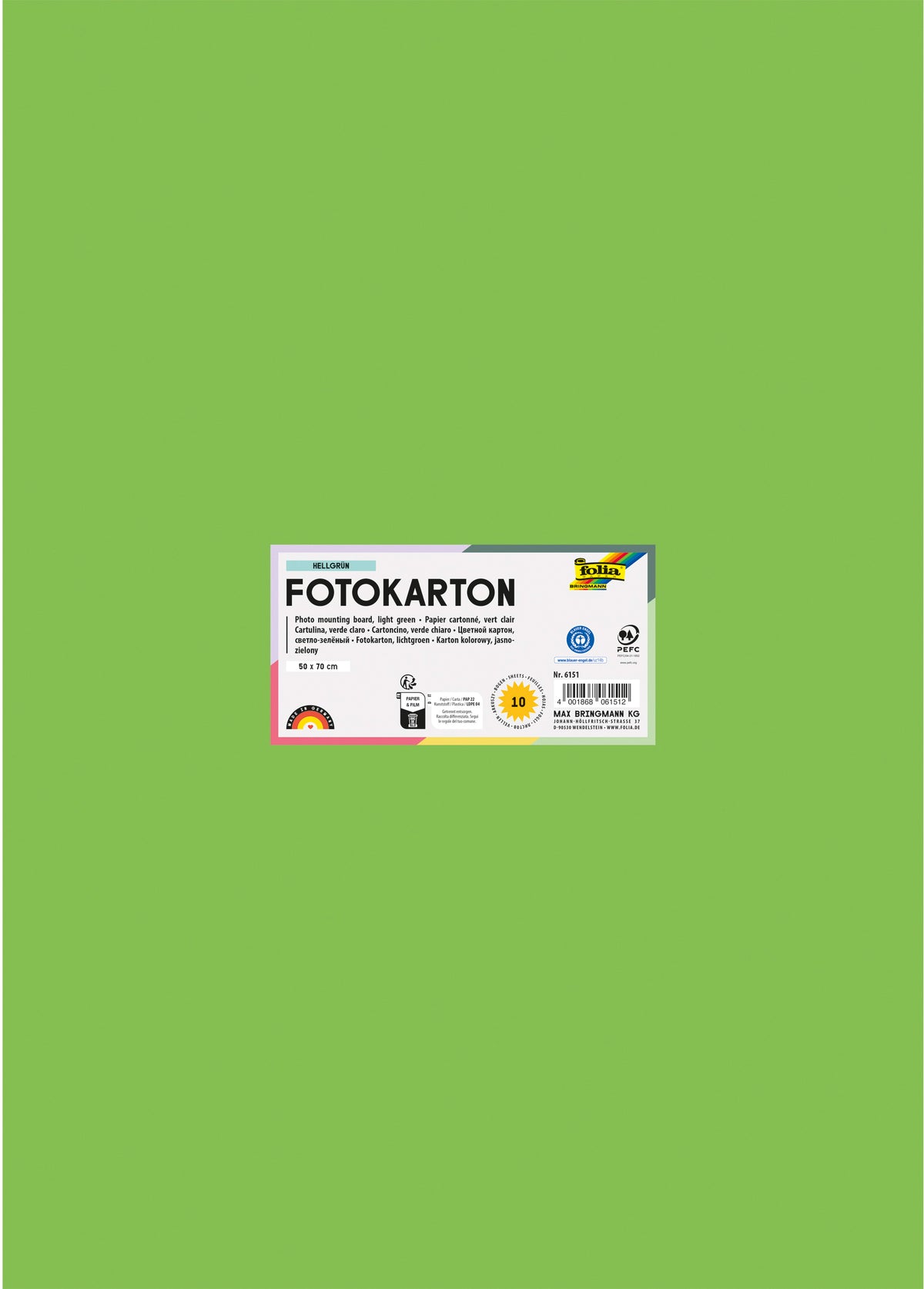Folia Fotokarton – 50 × 70 cm, hellgrün, 300 g/m² – 100 % Altpapier, 6151