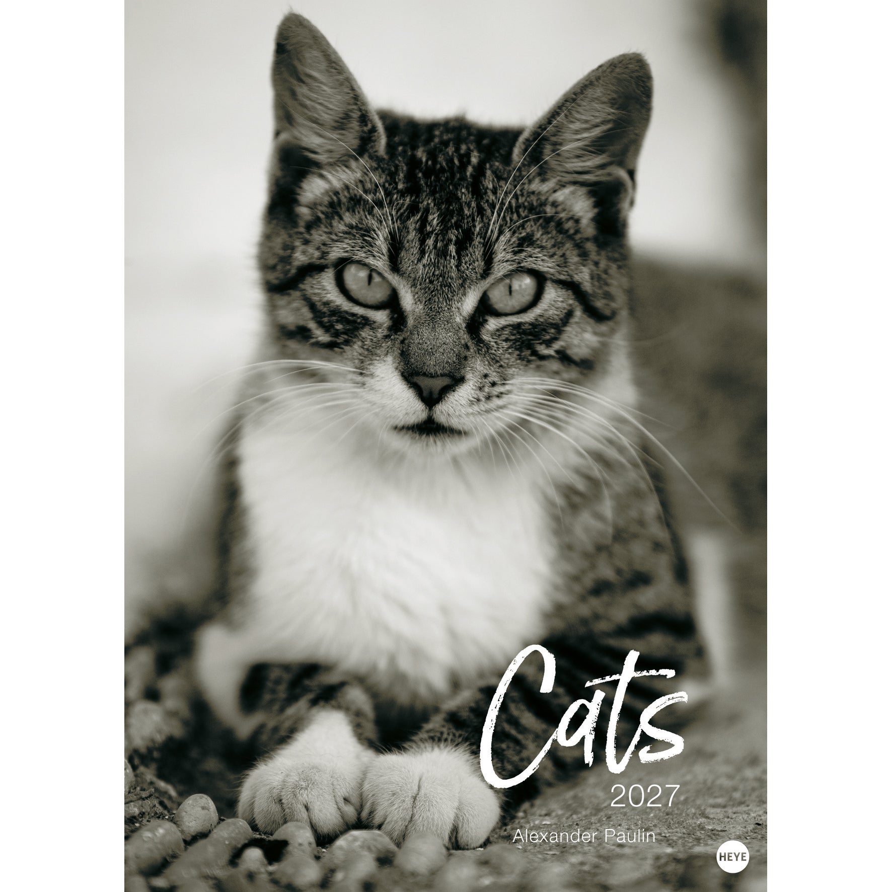 Heye Wegler Cats – Bildkalender 2027 – 68,5 × 49 cm