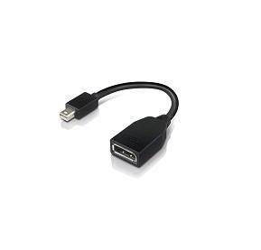 Lenovo Mini DisplayPort (Stecker) auf DisplayPort (Buchse) Adapter, 20 cm