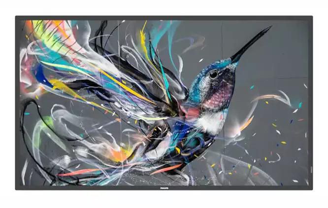 Philips Q-Line – Signage-Display, 65", Ultra HD 4K, 18/7