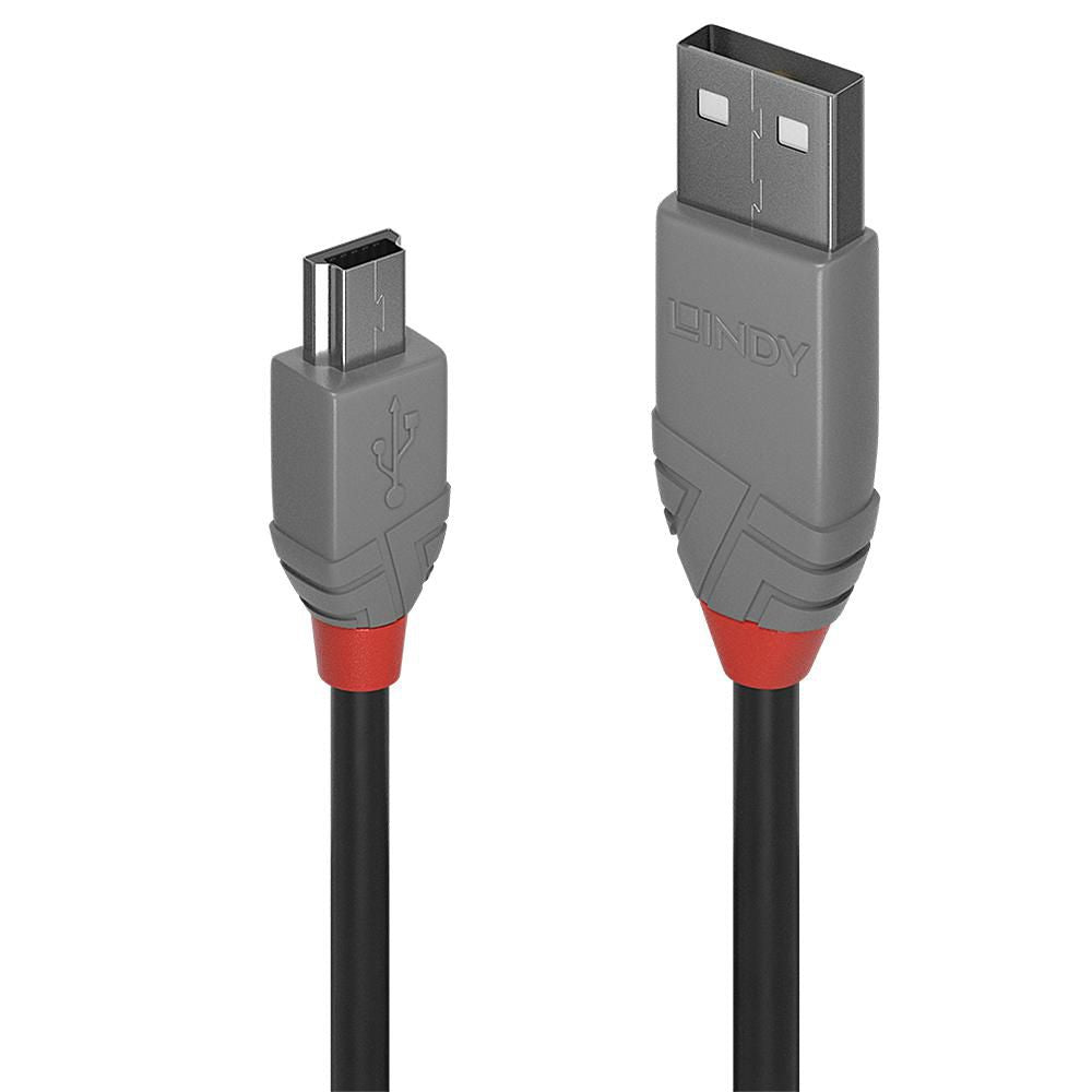 Lindy USB-Kabel, USB-A zu Mini-USB, 2 m, USB 2.0