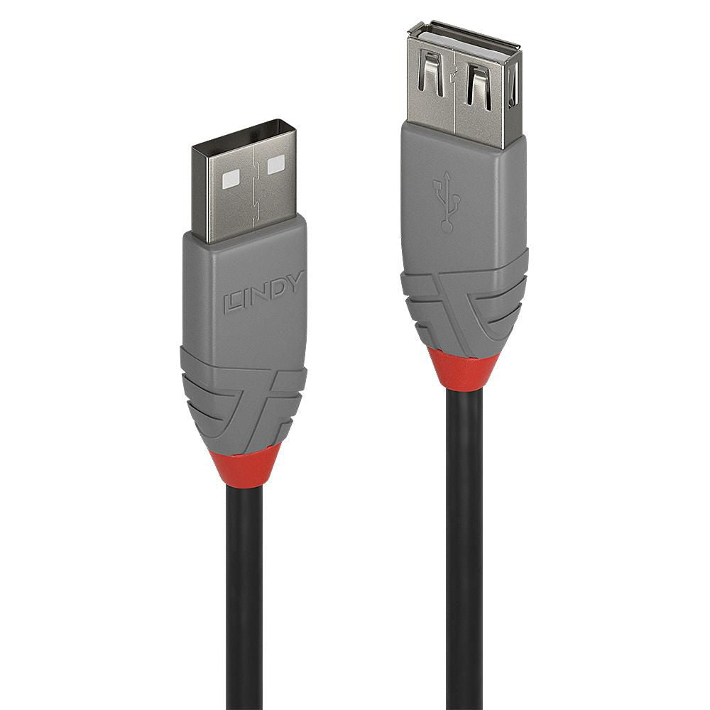 Lindy USB-Kabel, USB-A zu USB-A, 0,2 m, USB 2.0