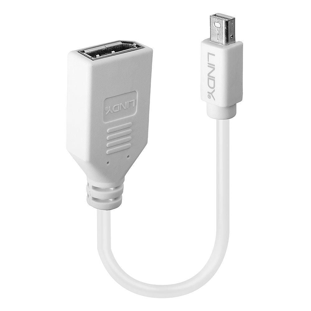 Lindy Mini DisplayPort auf DisplayPort Adapter – 20 cm, geschirmt