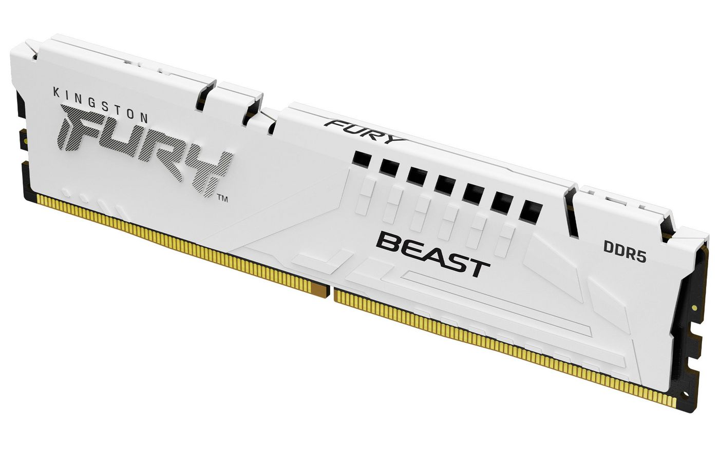 Kingston Technology FURY Beast – 16 GB DDR5 5200 MT/s, 288-poliger DIMM, CL40