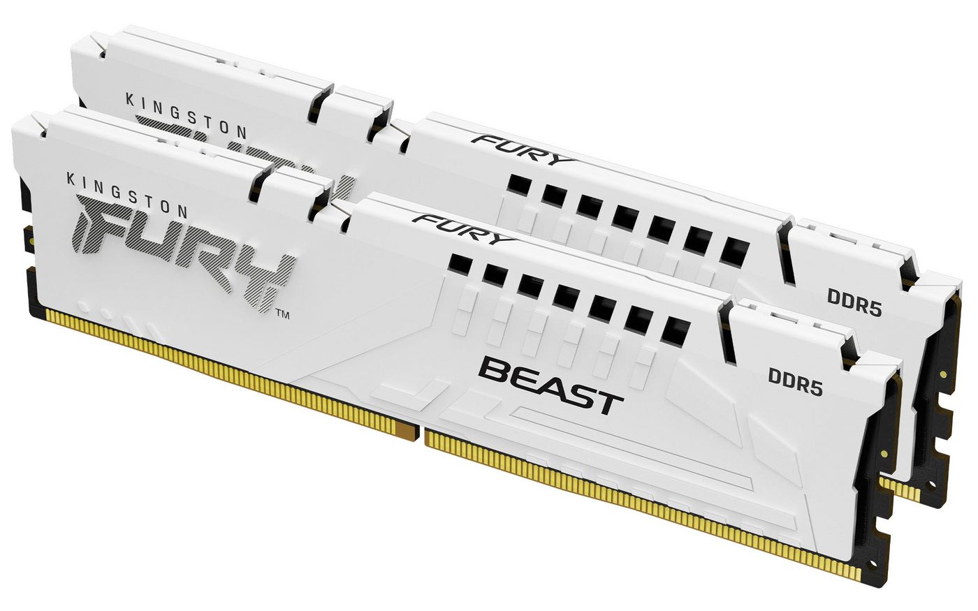 Kingston Technology Kingston FURY Beast – Arbeitsspeicher – 64 GB (2×32 GB), DDR5 5600 MT/s, CL40, 288‑Pin DIMM, Weiss