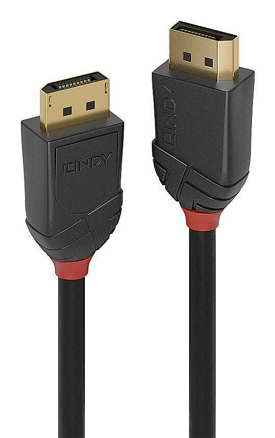Lindy DisplayPort Kabel DP 2.1 8K 60 Hz – 1 m