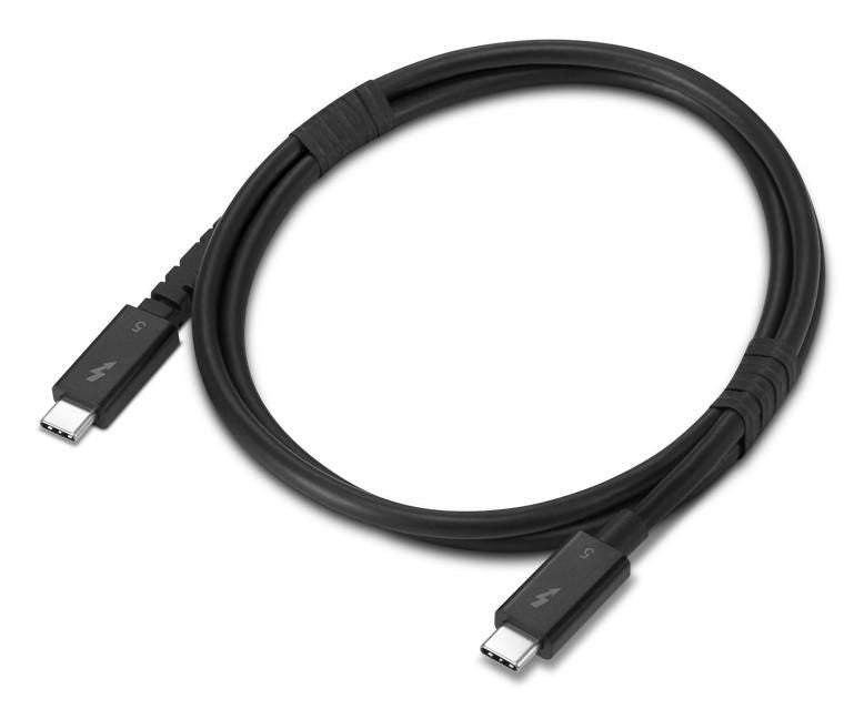 Lenovo Thunderbolt Kabel (USB-C) – 80 Gbit/s – 1 m – Schwarz