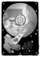 Seagate DB35 7200.3 – 250 GB, 3,5" SATA II, 7200 U/min, 8 MB Cache