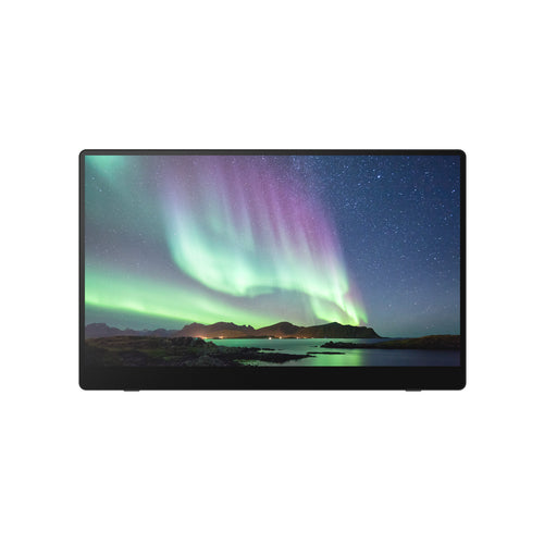 Ricoh 150 – Portabler Monitor, 15,6", OLED, Touch, USB