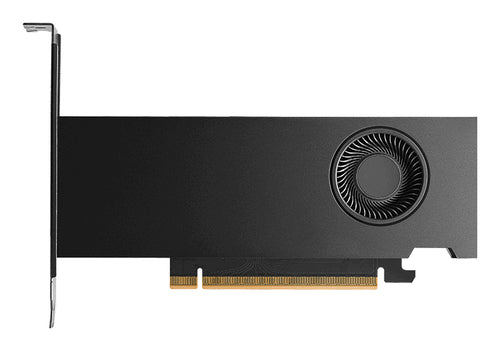 PNY RTX Pro 2000 Blackwell – PCIe Grafikkarte – 4×mDP, PCIe x8 5.0, 70 W