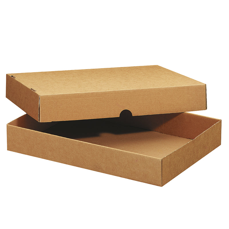 Master'in Access Formatschachtel, braun – 301 × 230 × 100 mm – 50 Stk.