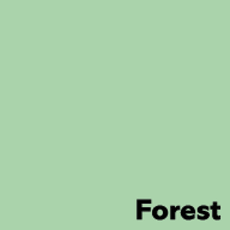 Image Coloraction Farbiges Kopierpapier Wald/Pastellgrün – A4, 120 g/m², 2'250 Blatt