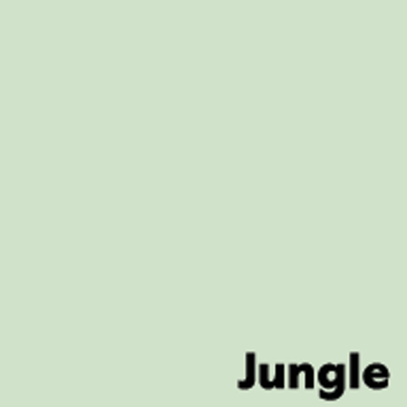 Image Kopierpapier – A4, 80 g/m², Jungle Hellgrün – FSC – 500 Blatt