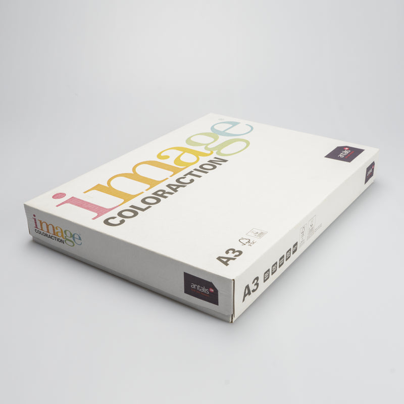 Image Kopierpapier – A3, 120 g/m², grau – FSC – 250 Blatt
