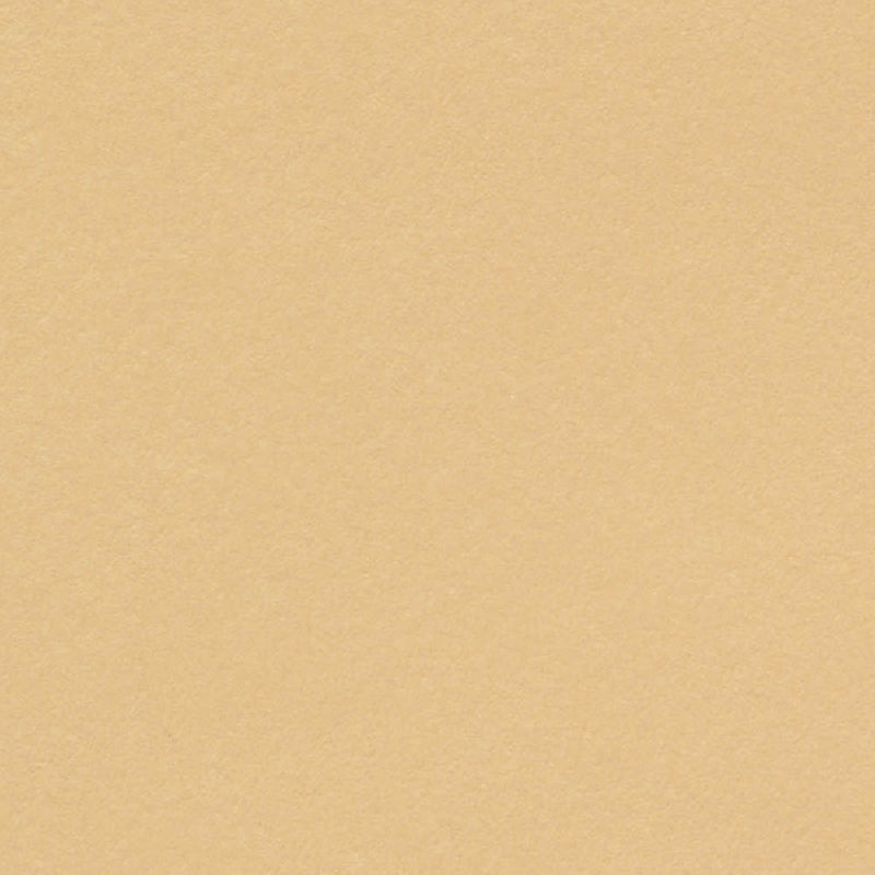 Olin Kopierpapier – A4, 320 g/m², Rehbraun – FSC – 125 Blatt