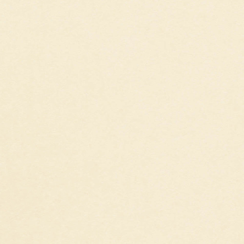 Olin Kopierpapier – A4, 320 g/m², Creme – FSC – 125 Blatt