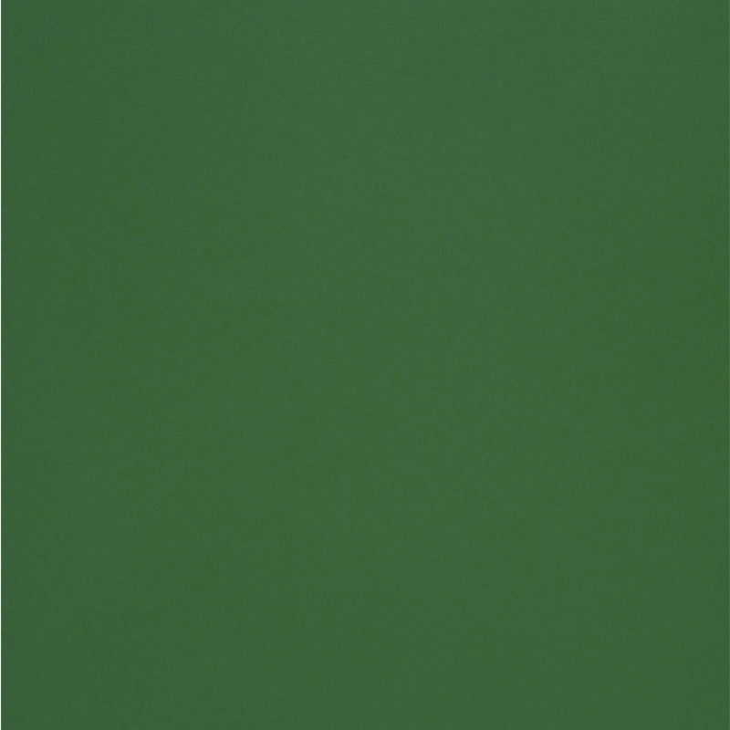 Olin Kopierpapier – A4, 240 g/m², Jungle Green – FSC – 125 Blatt