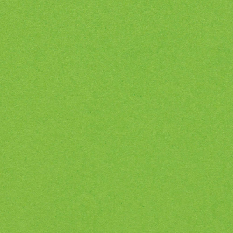 Olin Colours Kopierpapier – A4, 120 g/m², Pistazie – FSC – 250 Blatt