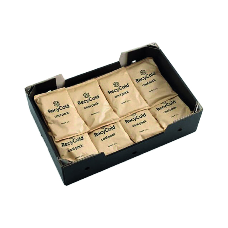Recycold Kühlpack – 150 × 240 × 35 mm – braun – 24 Stück
