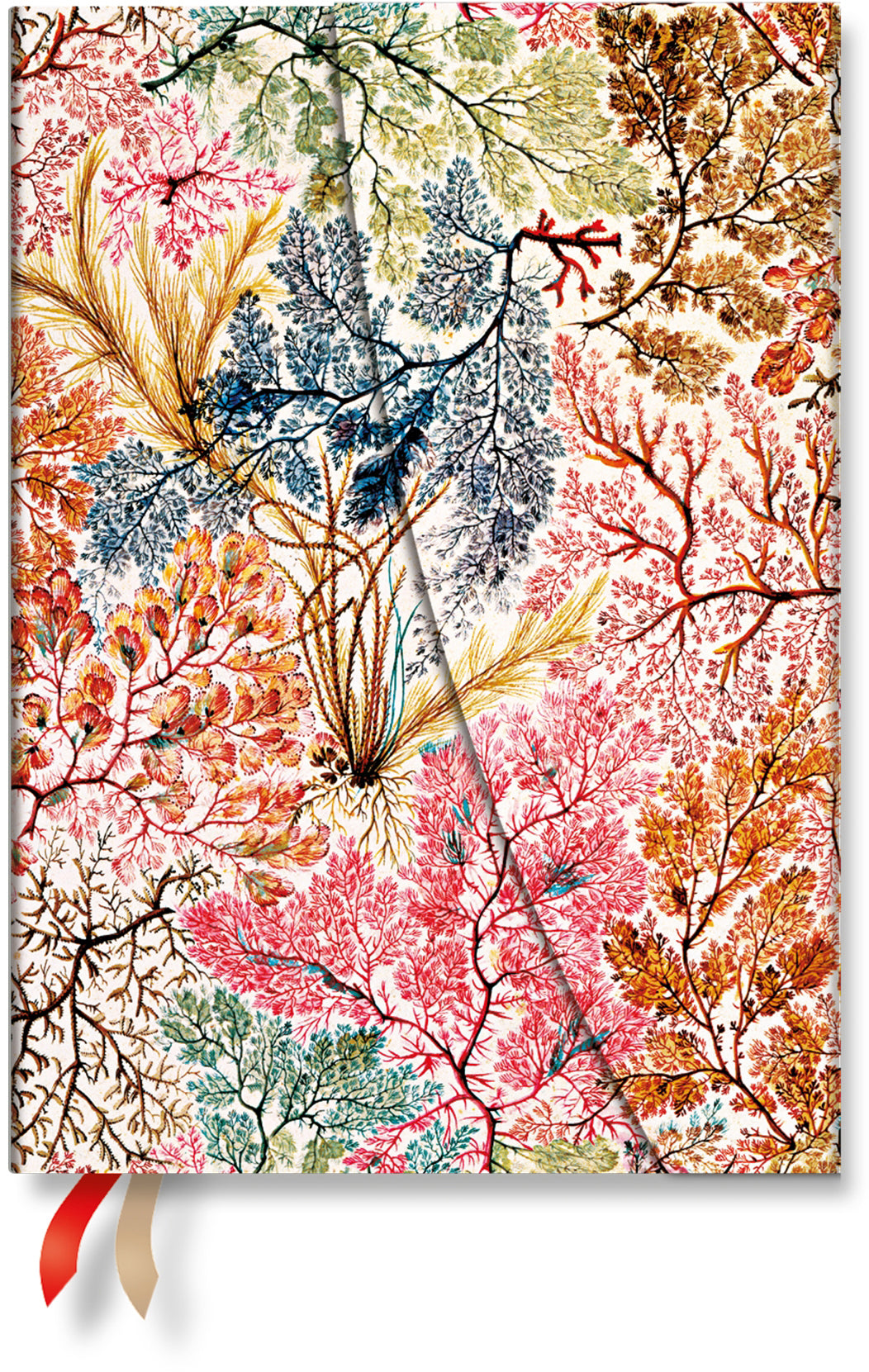 Paperblanks Anemone – Wochenagenda 2027, 1 Woche/2 Seiten, 13 × 18 cm, Hardcover