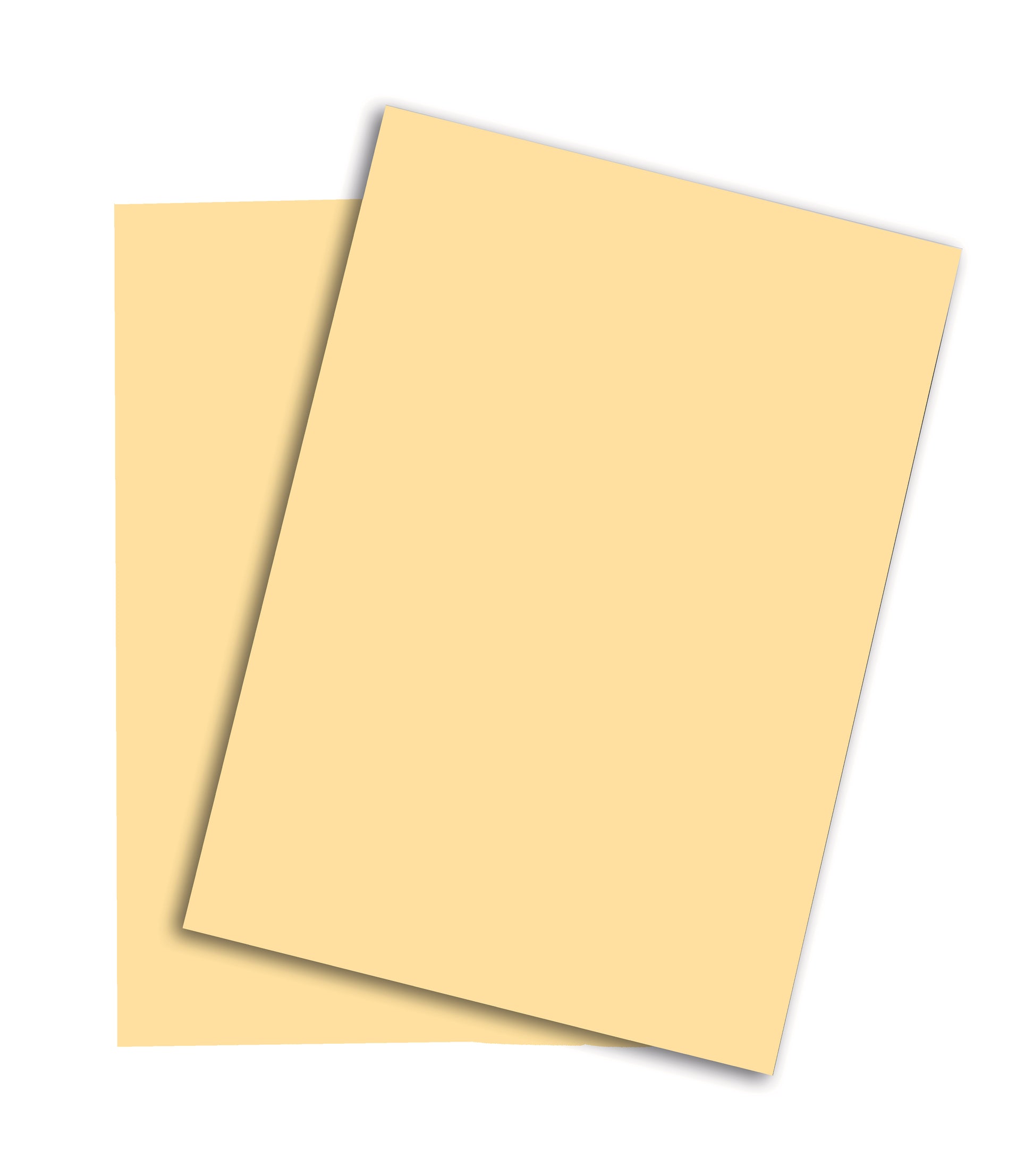Rainbow Farbiges Kopierpapier Chamois – A3, 160 g/m²
