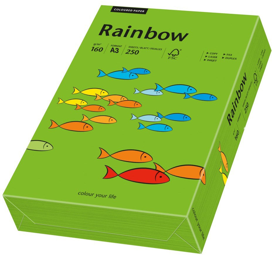 Rainbow Farbiges Kopierpapier intensivgrün – A3, 160 g/m², 250 Blatt