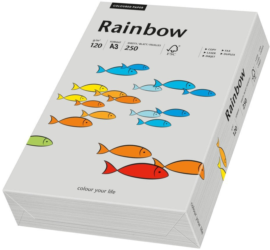 Rainbow Farbiges Kopierpapier Grau – A3, 120 g/m², 250 Blatt