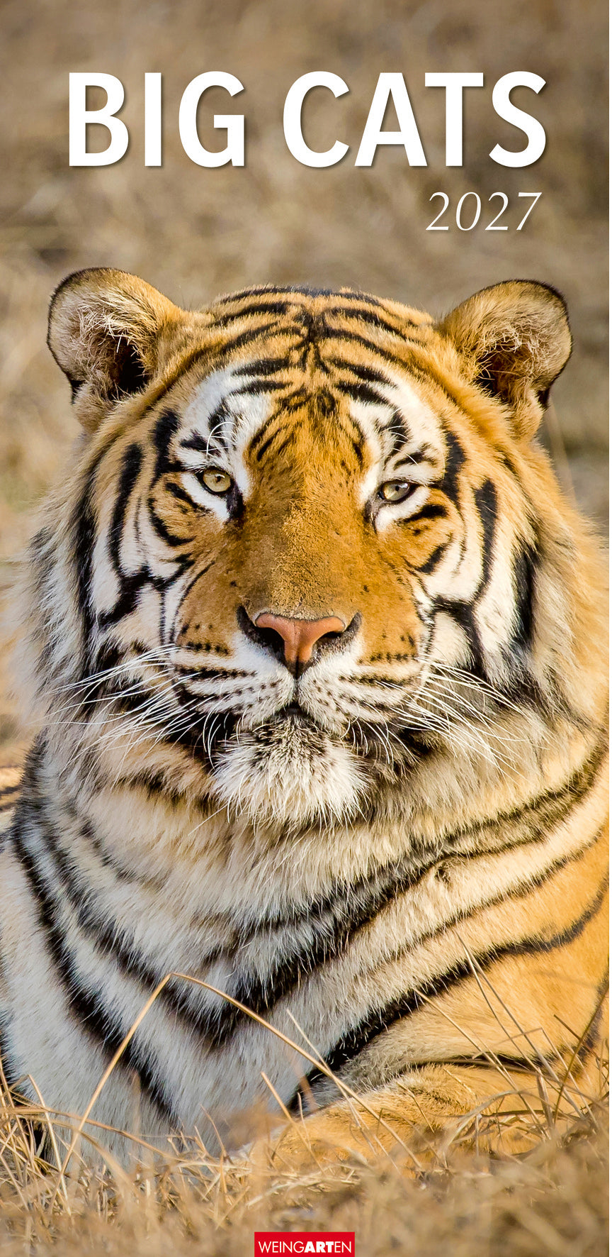 Weingarten Big Cats – Bildkalender 2027 – 33,2 × 68,5 cm – Kalendarium Deutsch