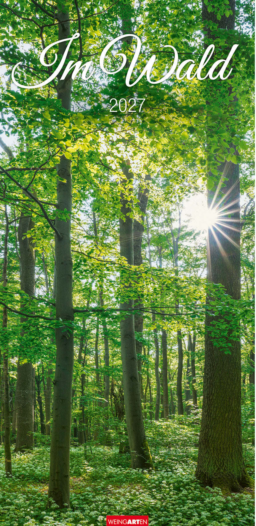 Weingarten Im Wald – Bildkalender 2027 – 33,5 × 69 cm