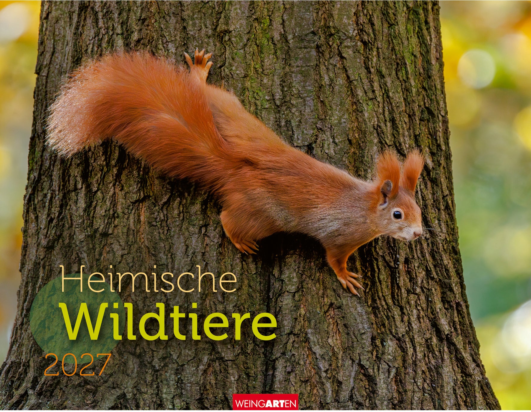 Weingarten Heimische Wildtiere – Bildkalender 2027 – 34,5 × 44,5 cm